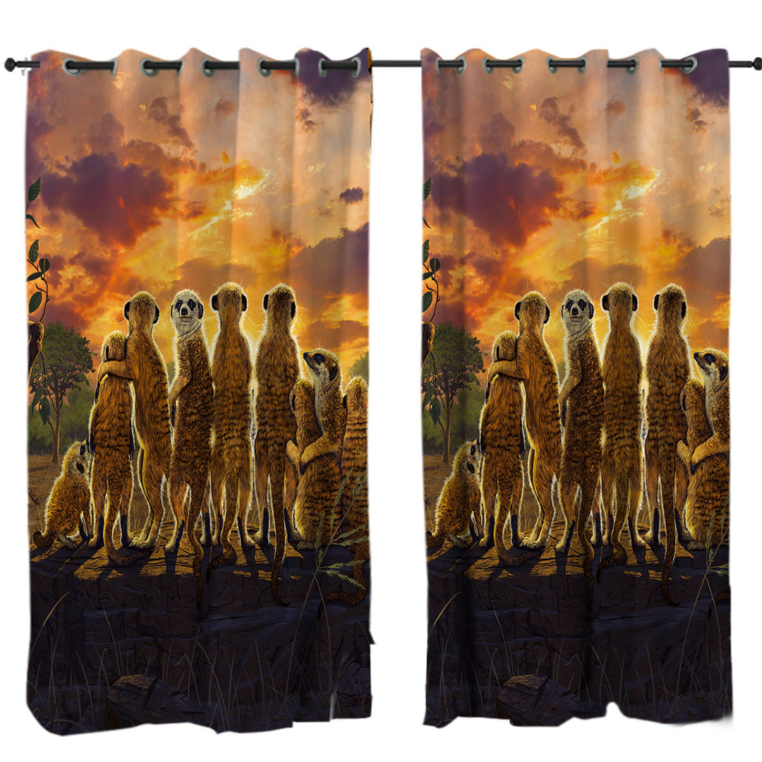 Animals Art Sunset Meerkats Suricate Drapes for Living Room