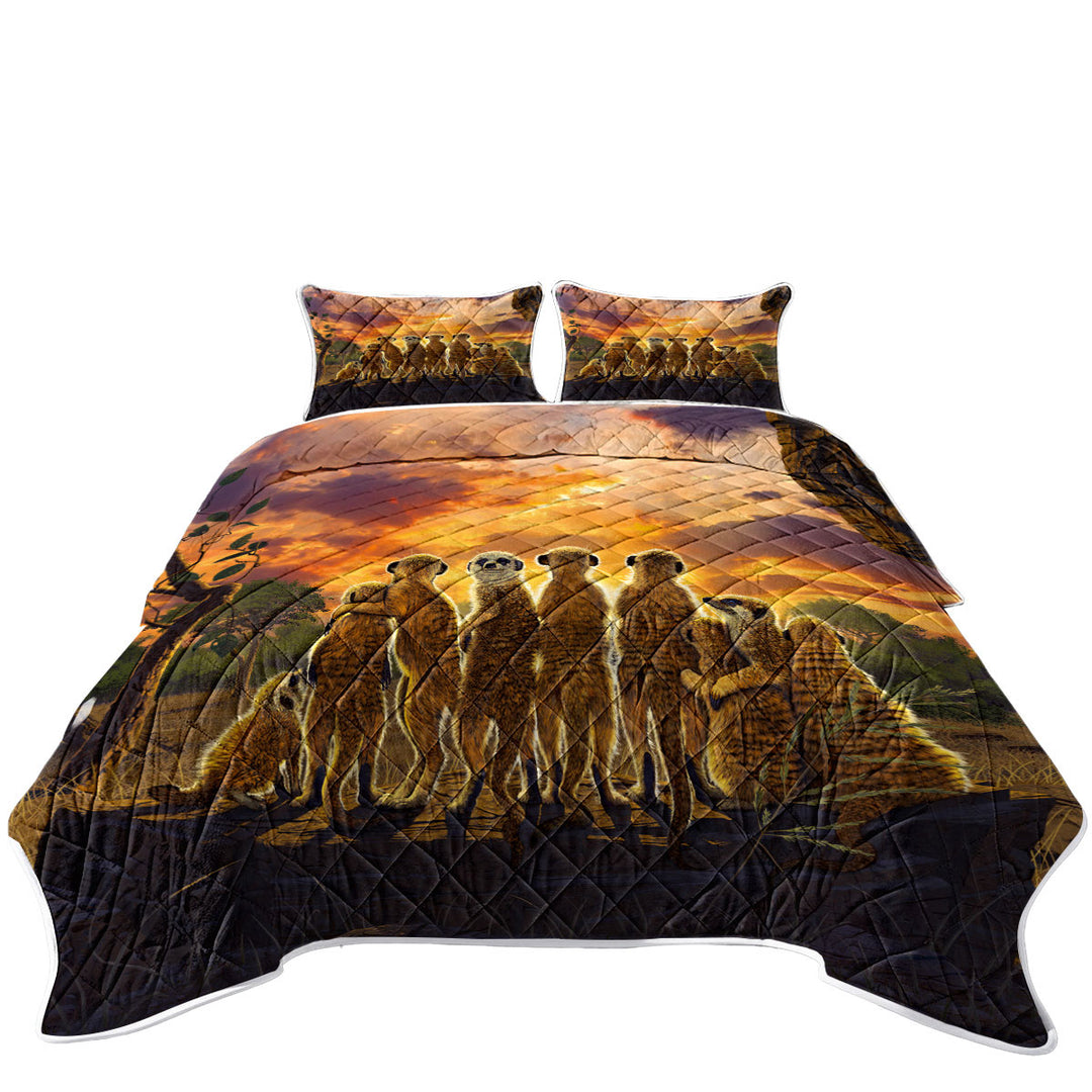 Animals Art Sunset Meerkats Suricate Quilts