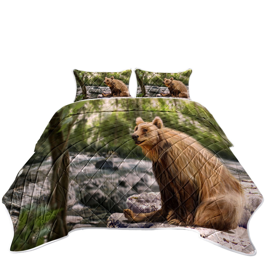 Beautiful Art Cute Wild Bear Coverlet