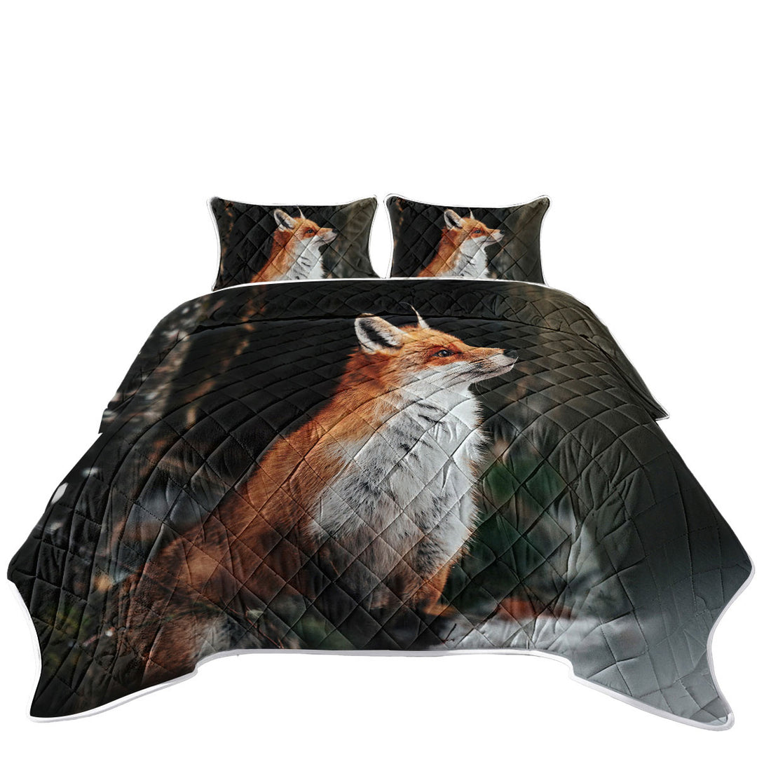 Beautiful Fox Quilts