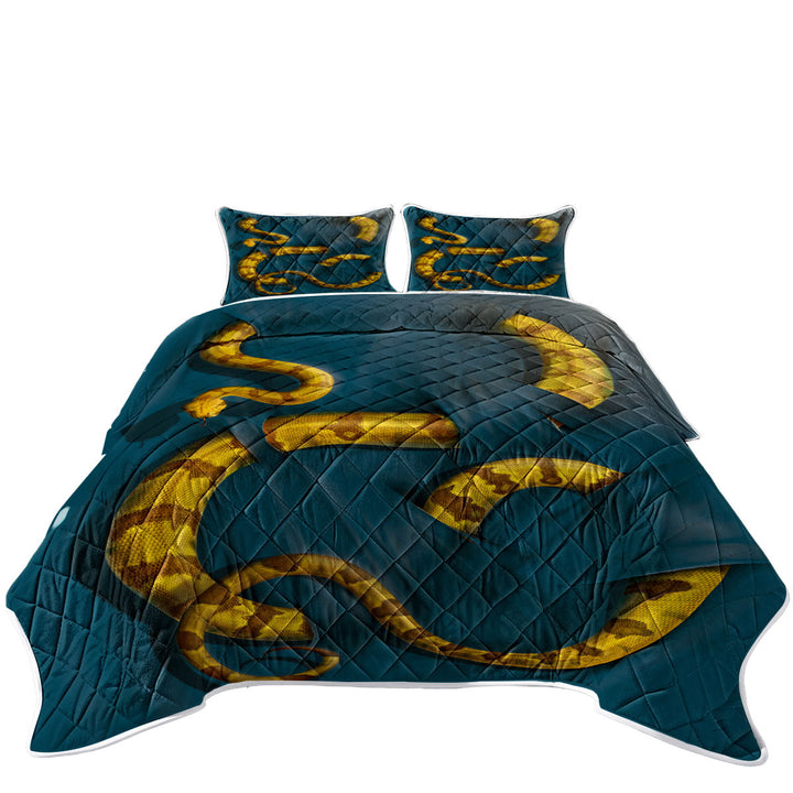 California King Quilt Sets with Wild Animal Art Boa Constrictor Snake