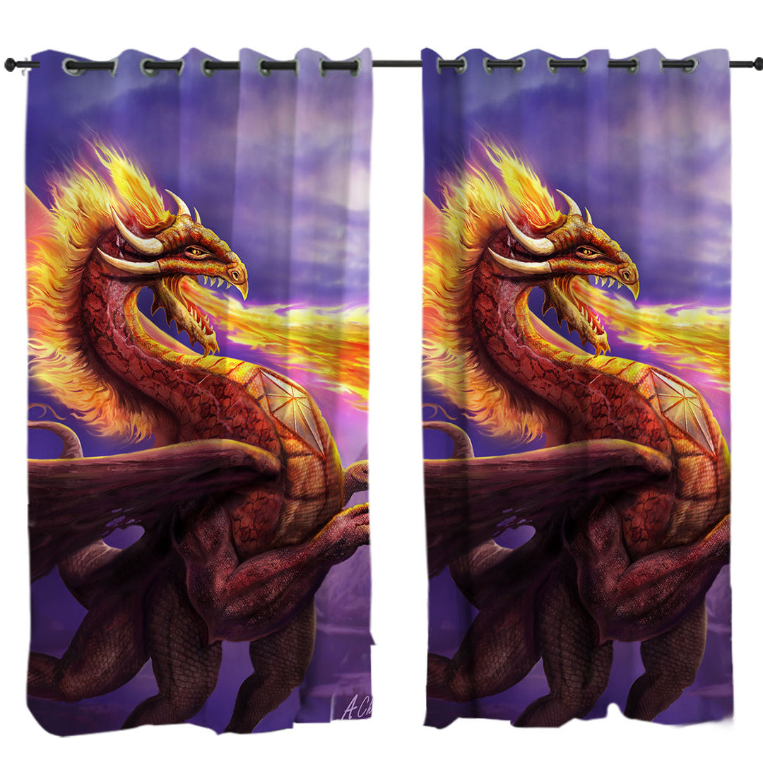 Cool Art Dragon Flame Curtains