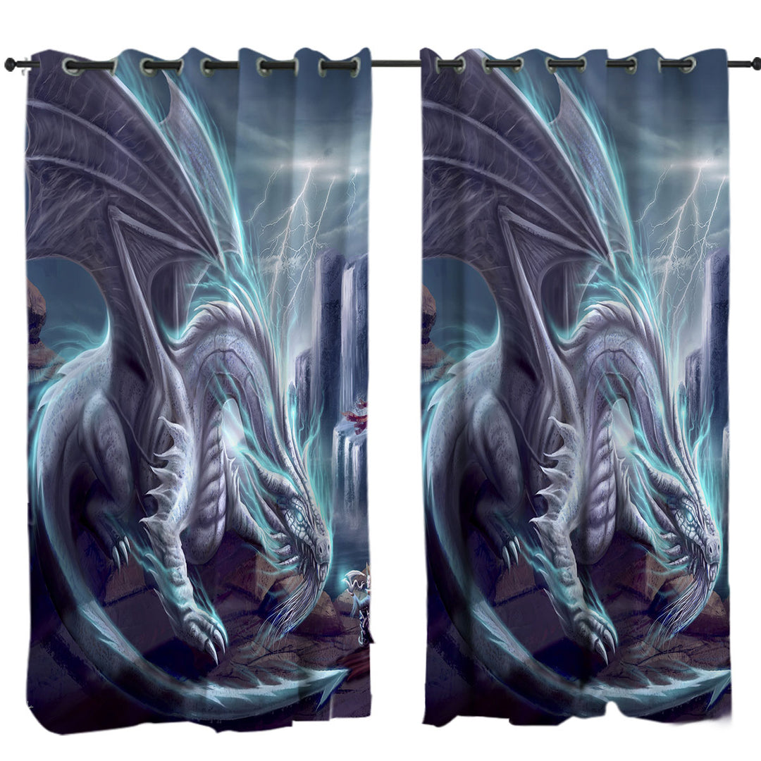 Cool Art White Lighting Dragon Curtain