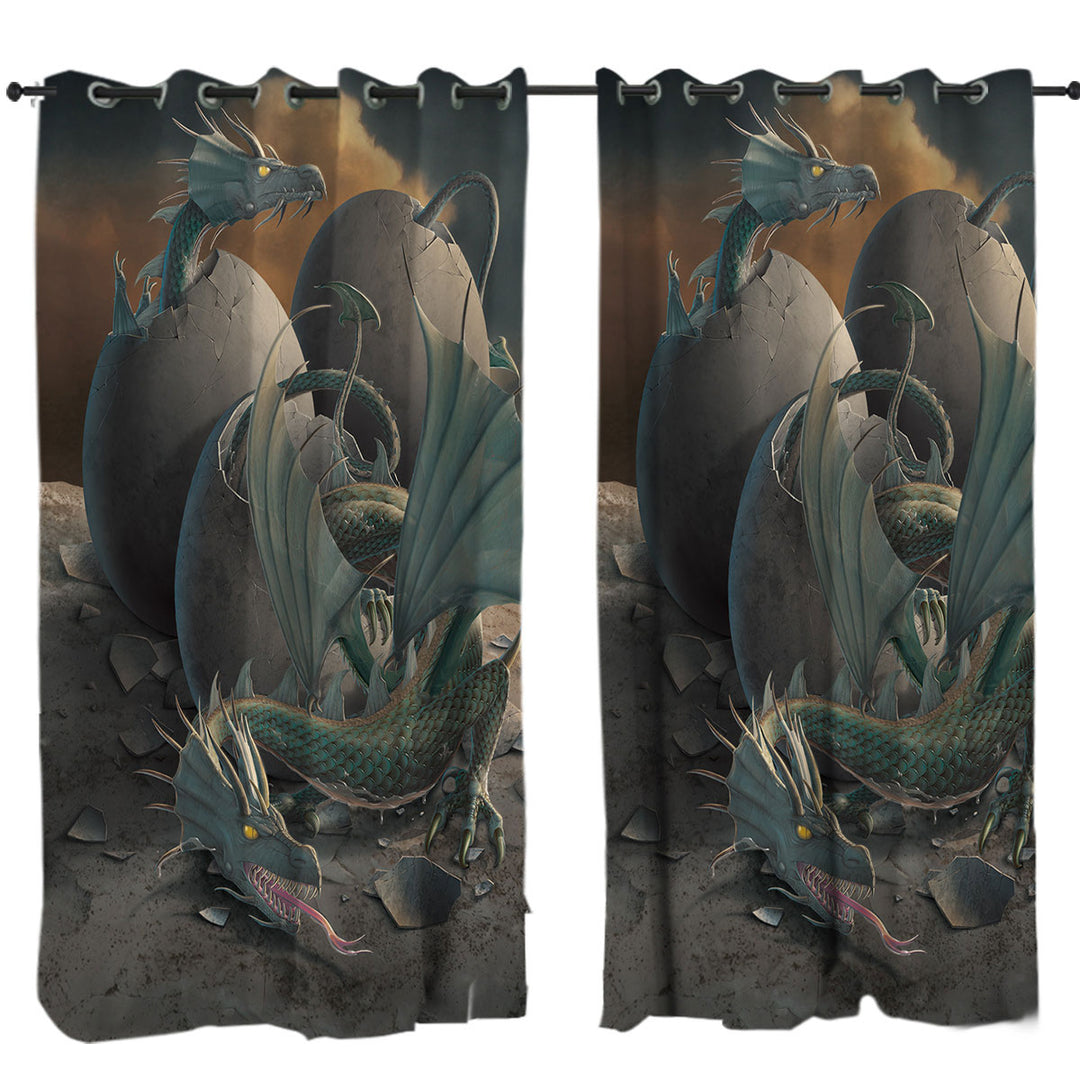 Cool Fantasy Art Offspring Hatching Dragons Curtain