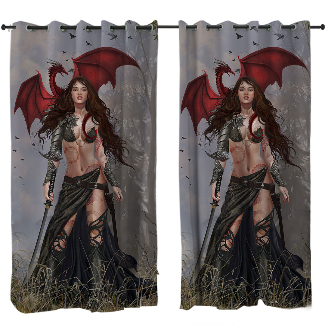 Cool Fantasy Art Sexy Dragon Warrior Woman Drapery