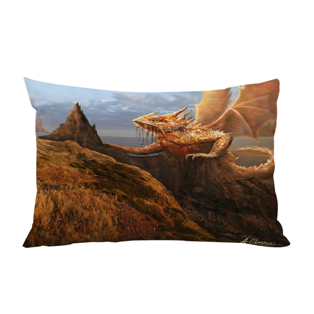 Cool Fantasy Rock Dragon Pillow Cases