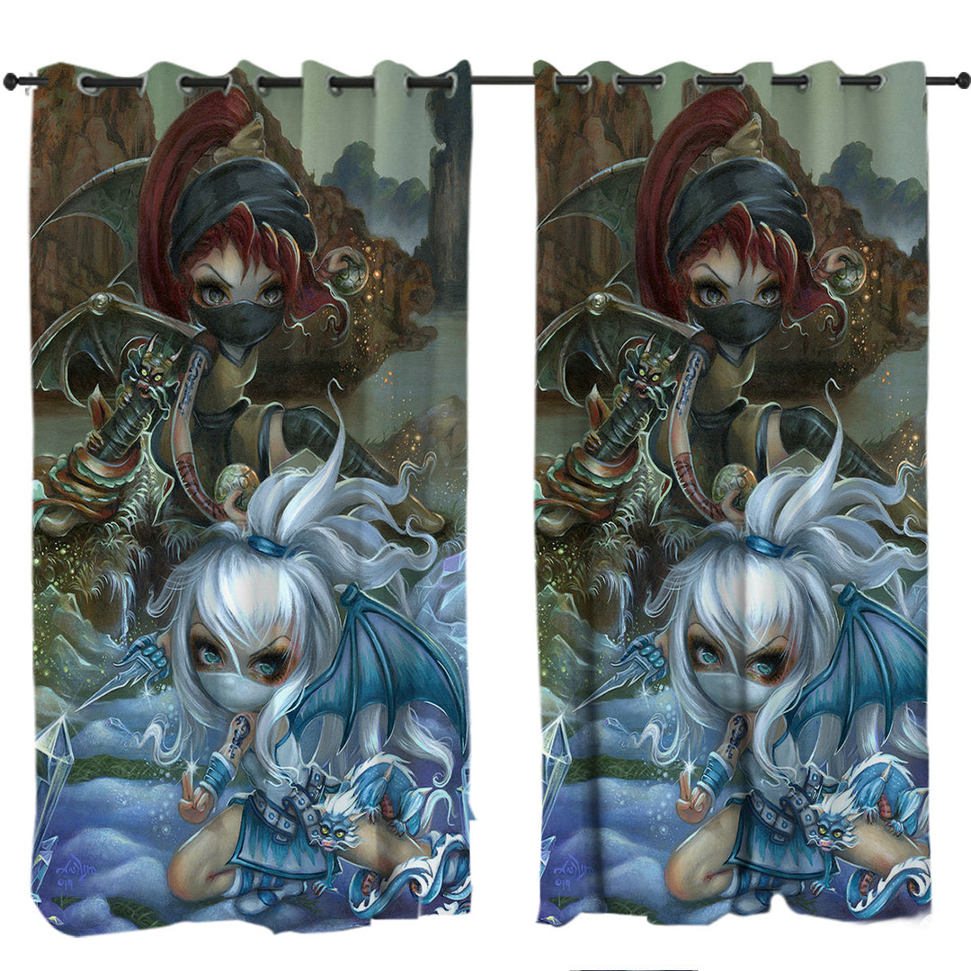 Cool Ninja Dragonlings Stone and Ice Ninjas Curtain