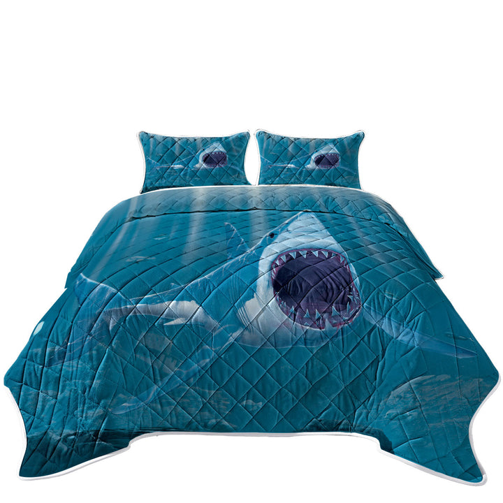 Cool Scary Marine life Art Shark Bite California King Quilt Sets