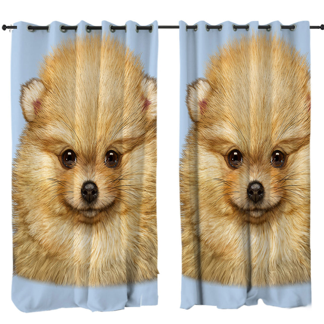 Curtains with Cute Animal Art Pomeranian Puppy Dog