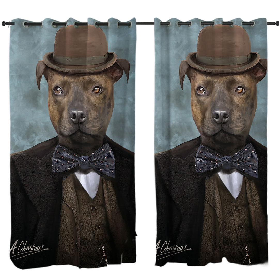 Curtains with Sir Edmund the Bulldog Cool and Funny Dog