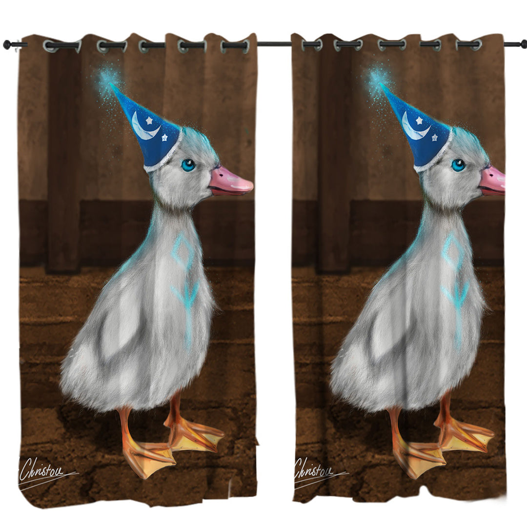 Cute Animals Art Wizard Duck Drapes and Curtains