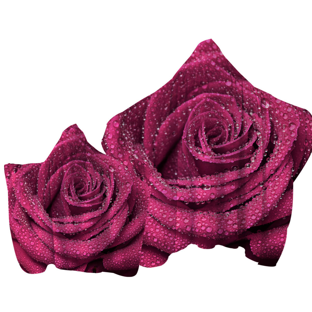 Dew Covered Rosy Rose Towel with Hood