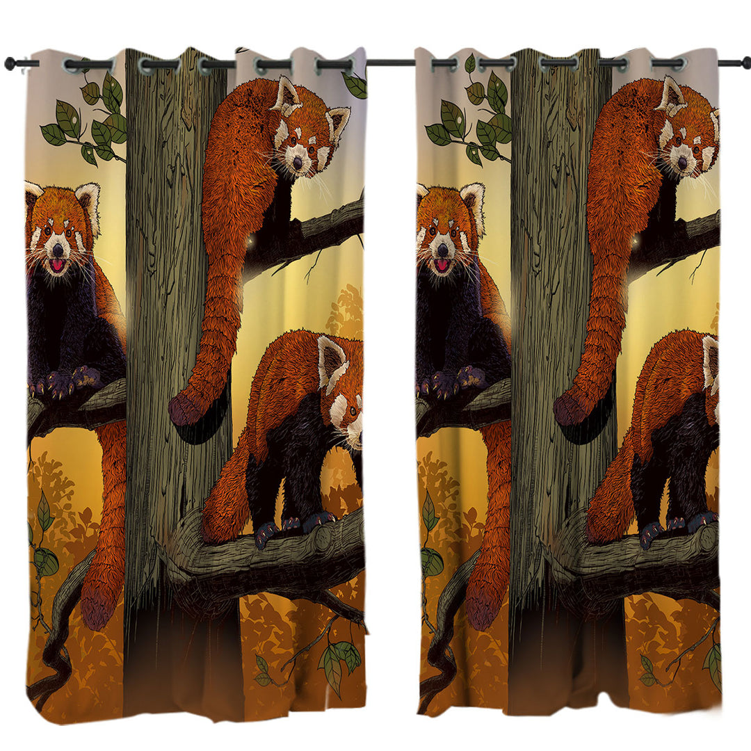 Drapery with Cute Animals Art Red Pandas