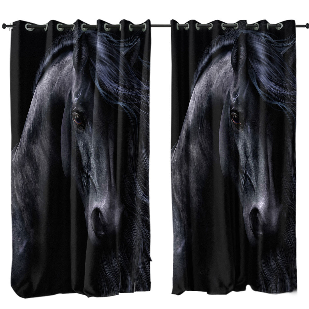 Elegant Horse Art the Black Curtain