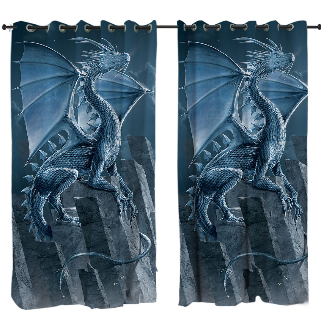 Fantasy Art Silver Dragon Curtain