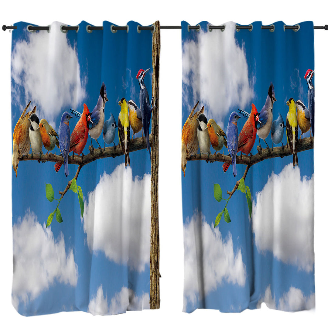 Nature Art Multi Colored Birds Curtains