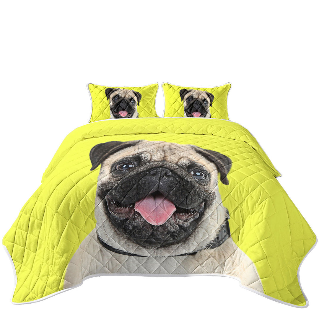 Yellow Background Cute Pug Dog Coverlet