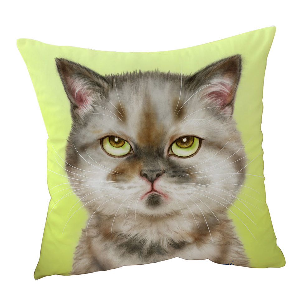 Cats Funny Children Cushion Faces Unsatisfied Brown Tabby Kitten